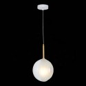 Подвесной светильник ST-Luce SL1183.503.01
