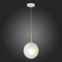 Подвесной светильник ST-Luce SL1183.503.01