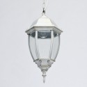 Подвесной уличный светильник DeMarkt 804010801