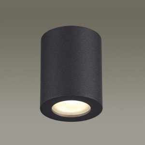 Влагозащищенный светильник Odeon Light 3572/1C