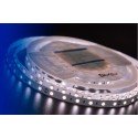 Лента DesignLed DSG560-24-NW-33