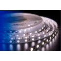 Лента DesignLed DSG560-24-NW-33