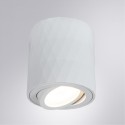 Накладной светильник ARTE Lamp A5559PL-1WH