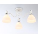 Накладной светильник Ambrella Light TR303302