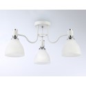 Накладной светильник Ambrella Light TR303302