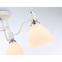 Накладной светильник Ambrella Light TR303302