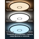 Накладной светильник Citilux CL703A101G