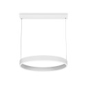 Подвесной светильник Ambrella Light FA6605