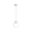 Подвесной светильник Ambrella Light FL5251