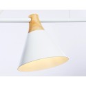 Подвесной светильник Ambrella Light TR8196