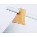 Подвесной светильник Ambrella Light TR8196