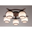 Накладная люстра Omnilux OML-50507-05