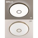 Накладной светильник Citilux CL703A103G
