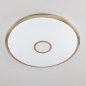 Накладной светильник Citilux CL703A103G