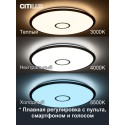 Накладной светильник Citilux CL703A103G