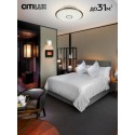 Накладной светильник Citilux CL703A103G