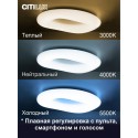 Накладной светильник Citilux CL732A800G