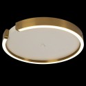 Накладной светильник LOFT IT 10026