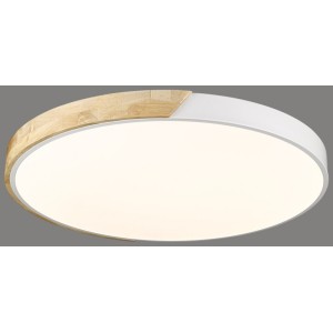 Накладной светильник VELANTE 445-067-01