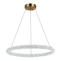 Подвесная люстра ST-Luce SL6110.213.01