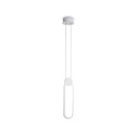 Подвесной светильник Ambrella Light FL5260