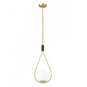 Подвесной светильник Odeon Light 4810/1