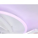 Накладной светильник Ambrella Light FA4475