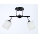 Накладной светильник Ambrella Light TR303063