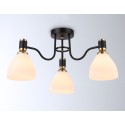Накладной светильник Ambrella Light TR303303