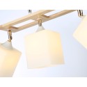Накладной светильник Ambrella Light TR9505
