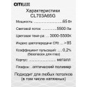 Накладной светильник Citilux CL703A65G