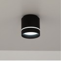 Накладной светильник Citilux CL745021N