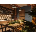 Подвесной светильник Odeon Light 3366/1