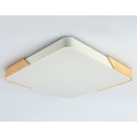 Накладной светильник Ambrella Light FZ1312