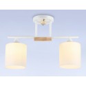 Накладной светильник Ambrella Light TR9541