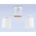 Накладной светильник Ambrella Light TR9541
