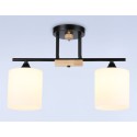 Накладной светильник Ambrella Light TR9543