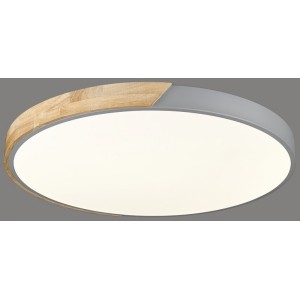 Накладной светильник VELANTE 445-267-01