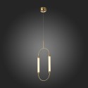 Подвесная люстра ST-Luce SL6004.303.02