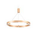 Подвесной светильник Ambrella Light FL5846