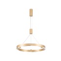 Подвесной светильник Ambrella Light FL5846