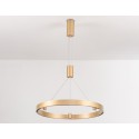 Подвесной светильник Ambrella Light FL5846