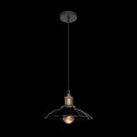 Подвесной светильник LOFT IT LOFT1101