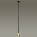 Подвесной светильник Odeon Light 3884/1GB