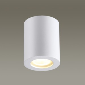 Влагозащищенный светильник Odeon Light 3571/1C