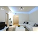 Накладная люстра MW-Light 267013403