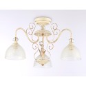 Накладной светильник Ambrella Light TR3055