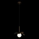 Подвесной светильник LOFT IT 10213/A Black