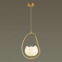 Подвесной светильник Odeon Light 4873/1