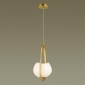 Подвесной светильник Odeon Light 4873/1